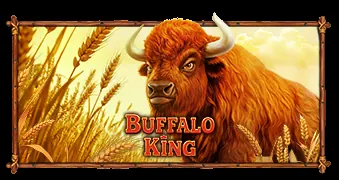 Demo Buffalo King