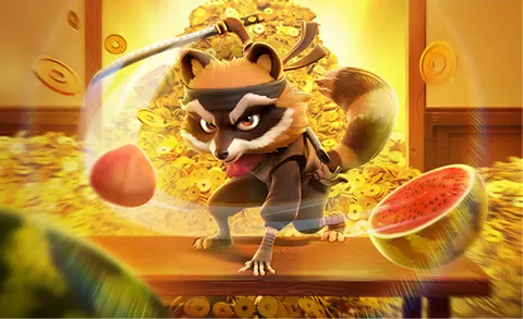 Demo Ninja Raccoon Frenzy